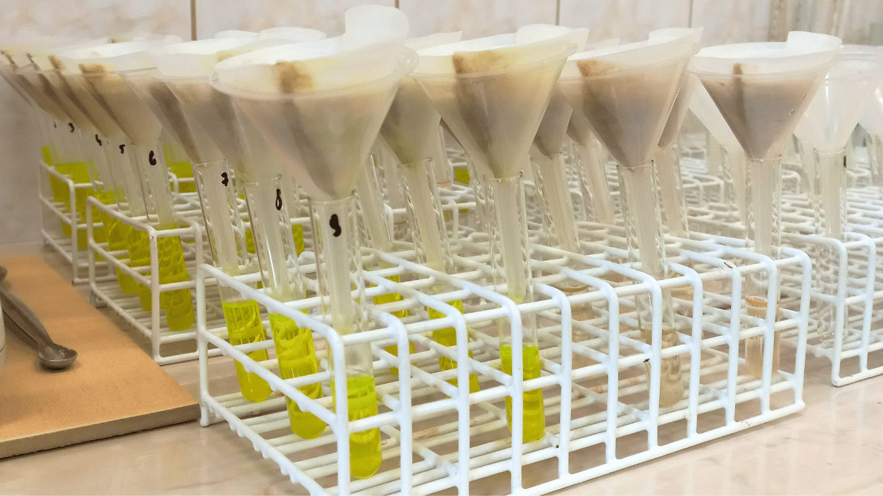 Ocena aktywności enzymów glebowych